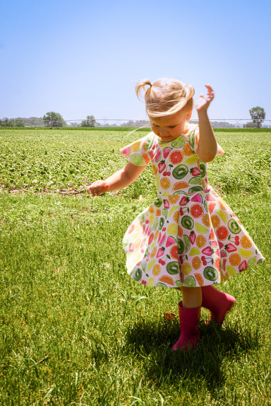 Audacity Acres - Custom Twirl Dress