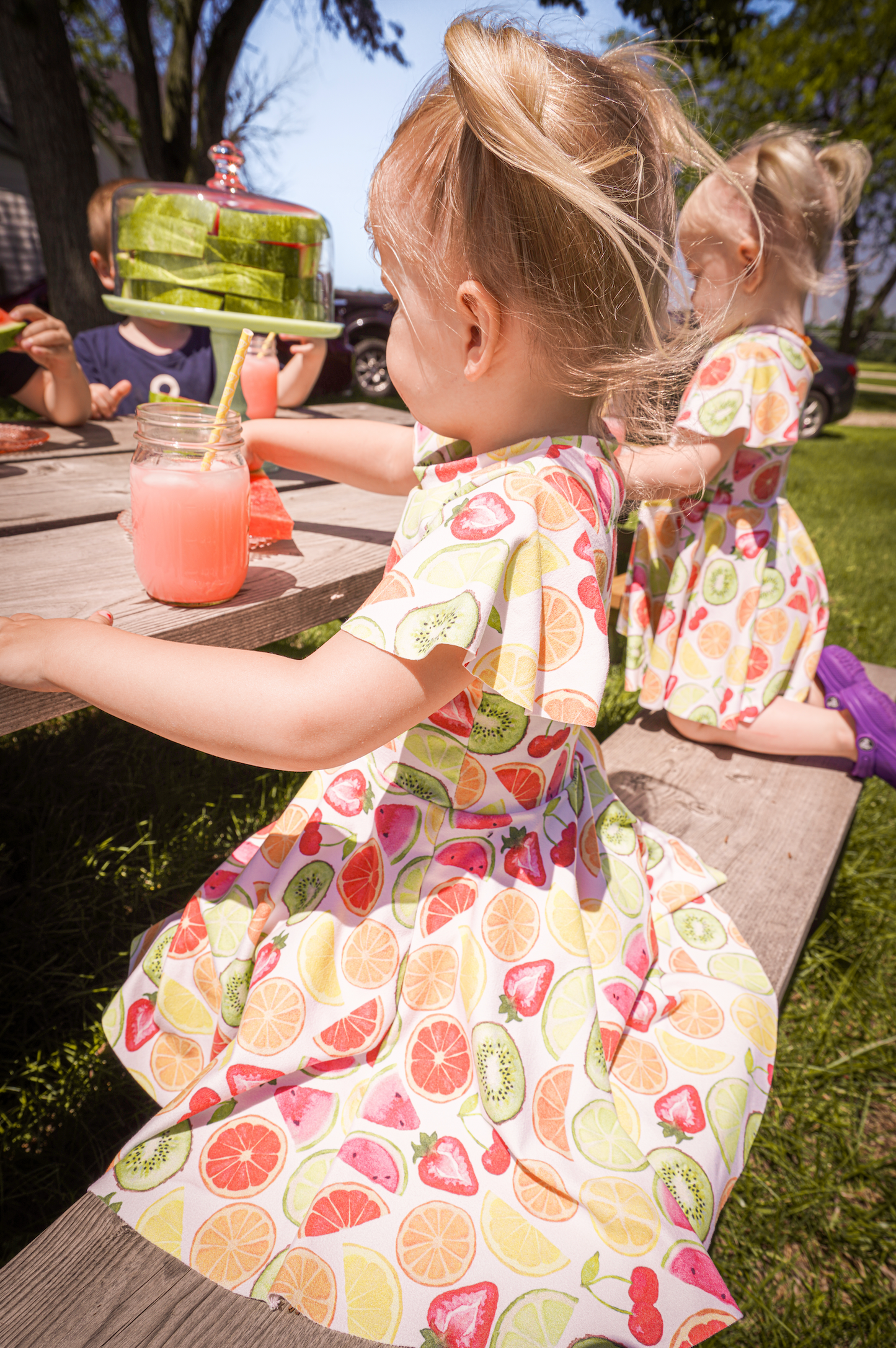 Audacity Acres - Custom Twirl Dress