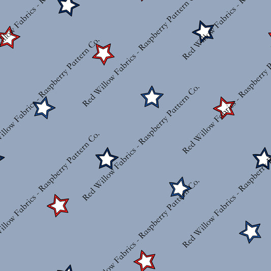 Raspberry Pattern Co - Stars on Light Blue
