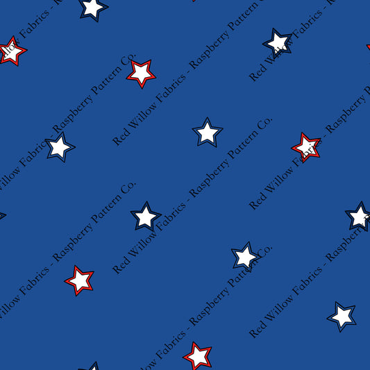 Raspberry Pattern Co - Stars on Mid Blue