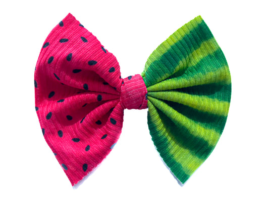 RTS - Audacity Acres - Pink Watermelon 5” Bow